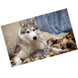 Maxbell 1 Set DIY Diamond Picture with Crystal Painting Kit Hand Craft Dog and Cat