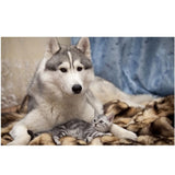 Maxbell 1 Set DIY Diamond Picture with Crystal Painting Kit Hand Craft Dog and Cat