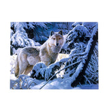 Maxbell 1 Set DIY Diamond Picture with Crystal Painting Kit Hand Craft Snow Wolf