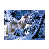 Maxbell 1 Set DIY Diamond Picture with Crystal Painting Kit Hand Craft Snow Wolf