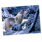 Maxbell 1 Set DIY Diamond Picture with Crystal Painting Kit Hand Craft Snow Wolf