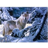 Maxbell 1 Set DIY Diamond Picture with Crystal Painting Kit Hand Craft Snow Wolf