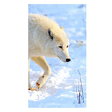 Maxbell Wolf 5D Diamond Painting DIY Embroidery Cross Stitch Needlework Craft White