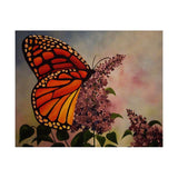 Maxbell 5D DIY Diamond Painting Animal Mosaic Picture for Home Wall Decor Butterfly
