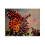 Maxbell 5D DIY Diamond Painting Animal Mosaic Picture for Home Wall Decor Butterfly