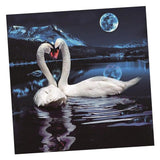 Maxbell 5D Diamond Painting Embroidery Cross Stitch Kits 25x25cm Swan