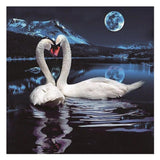 Maxbell 5D Diamond Painting Embroidery Cross Stitch Kits 25x25cm Swan