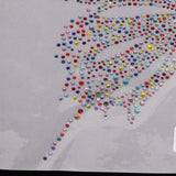 Max Rhinestone Iron On Transfer Hot Fix Motif Butterfly Decor Colorful style 1
