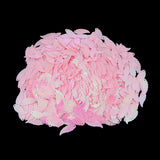 Max Bag of 1100pcs Leaf Loose Sequins for DIY Clothes Dress Sewing Accessories C