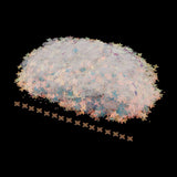 Max 100g 8mm Loose Sequins for Clothes Wedding Dress DIY Sewing Accessories A04