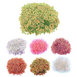 Max 100g Shell Loose Sequins Paillettes for Wedding Scrapbooking Craft 6x8mm  1