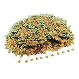 Max 100g Shell Loose Sequins Paillettes for Wedding Scrapbooking Craft 6x8mm  2