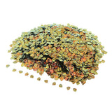 Max 100g Shell Loose Sequins Paillettes for Wedding Scrapbooking Craft 6x8mm  2