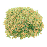 Max 100g Shell Loose Sequins Paillettes for Wedding Scrapbooking Craft 6x8mm  6