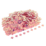 Max 100g Shell Loose Sequins Paillettes for DIY Clothes Dress Sewing Crafts C09