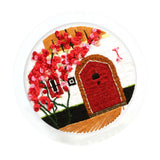 Max Handmade DIY Ribbon Embroidery Set Needlework Kits Cross Stitch Art Craft B1