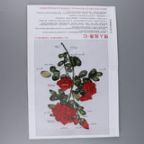 Max Ribbon Embroidery Kit Rose DIY Wall Decor 3D Painting Stamp Needle Work Red