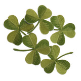 Maxbell Pack of 5 Embroidered Iron on Patches Badge Cloth Stickers Three Leaf Clover