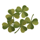 Maxbell Pack of 5 Embroidered Iron on Patches Badge Cloth Stickers Three Leaf Clover