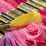 Maxbell Premium Rainbow Color Embroidery Floss Cross Stitch Threads