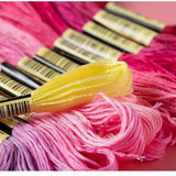 Maxbell Premium Rainbow Color Embroidery Floss Cross Stitch Threads
