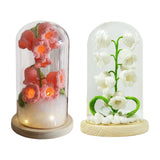 Maxbell LED Table Lamp Night Light Lily of the Valley for Home Decor Desk white