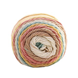 Maxbell 5 Strands Rainbow Yarn Braided Rope Cord Knitting Handmade for Sweater B