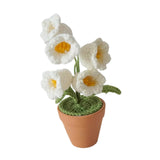 Maxbell Hand Woven Artificial Flowers Ornament Gift for Friends Table Centerpieces White