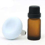 Max Diatomite Earth Car Air Freshener Essential Oils Diffuser with Bottle Blue