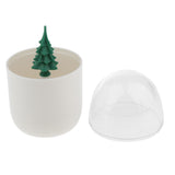 Maxbell Toothpick Cotton Swab Holder Dispenser Organizer Storage Box Container  02