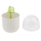 Maxbell Toothpick Cotton Swab Holder Dispenser Organizer Storage Box Container  03