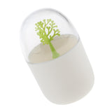 Maxbell Toothpick Cotton Swab Holder Dispenser Organizer Storage Box Container  03