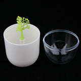 Maxbell Toothpick Cotton Swab Holder Dispenser Organizer Storage Box Container  03