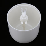 Maxbell Toothpick Cotton Swab Holder Dispenser Organizer Storage Box Container  05