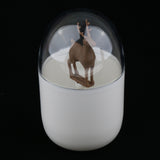 Maxbell Toothpick Cotton Swab Holder Dispenser Organizer Storage Box Container  08