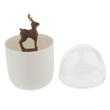 Maxbell Toothpick Cotton Swab Holder Dispenser Organizer Storage Box Container  08