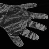 Maxbell 2 Pairs Clear Plastic Disposable Long Arm Gloves For Women Men Waterproof