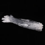 Maxbell 2 Pairs Clear Plastic Disposable Long Arm Gloves For Women Men Waterproof