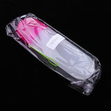 Maxbell Portable Plastic Toothbrush Toothpaste Holder Storage Box Case + Hanger 06