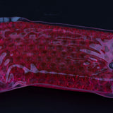 Max Gel Wrap Ice Packs Fever Cooling Ice Gel Pad for Kids and Adults Shiny Red