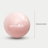 28cm Pilates Ball Yoga Workout Exercise Fitness Swiss Ball Anti-Burst Pink