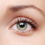 Maxbell Lemon Glass Color Series Big Eyes Cute Contacts Pure Hazel