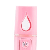 Pore Facial Steamer Nano Mist Face Sprayer Moisture & Disinfecting Pink