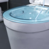 Maxbell Sitz Bath Tub for Toilet Seat with Flusher Hose for Feminine Cleansing Blue