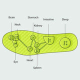 Maxbell 2 Pairs Foot Acupressure Insoles Air Cushion Massaging Breathable 43-44 Green