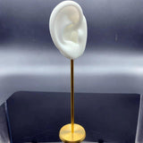 Maxbell Durable Earring Display Holder Human Ear Model Stud Holder Soft Silicone White Right