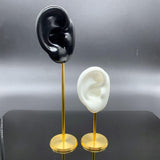 Maxbell Durable Earring Display Holder Human Ear Model Stud Holder Soft Silicone White Right