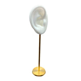 Maxbell Durable Earring Display Holder Human Ear Model Stud Holder Soft Silicone White Right