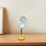 Maxbell Earring Display Stand Ear Model Stud Holder with Base for Birthday Showcase White Left