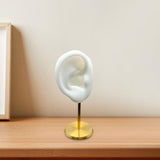Maxbell Earring Display Stand Ear Model Stud Holder with Base for Birthday Showcase White Right